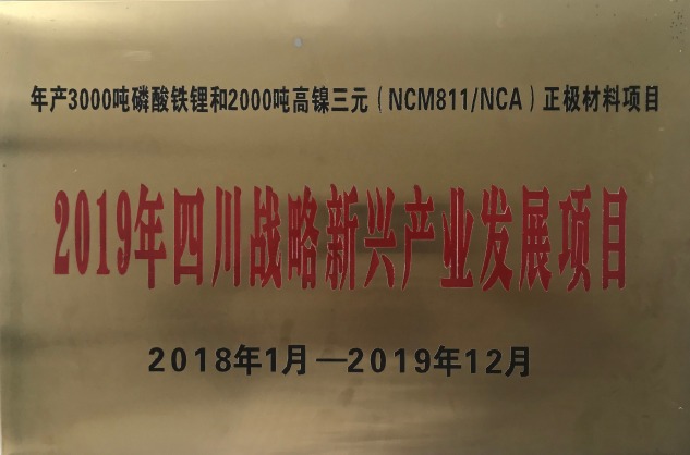 2019���Ĵ�ս�����˹�ҵ������Ŀ